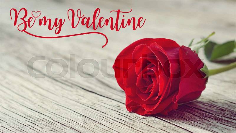 Rose rose on old wooden background vintage style with words Be my Valentine, stock photo