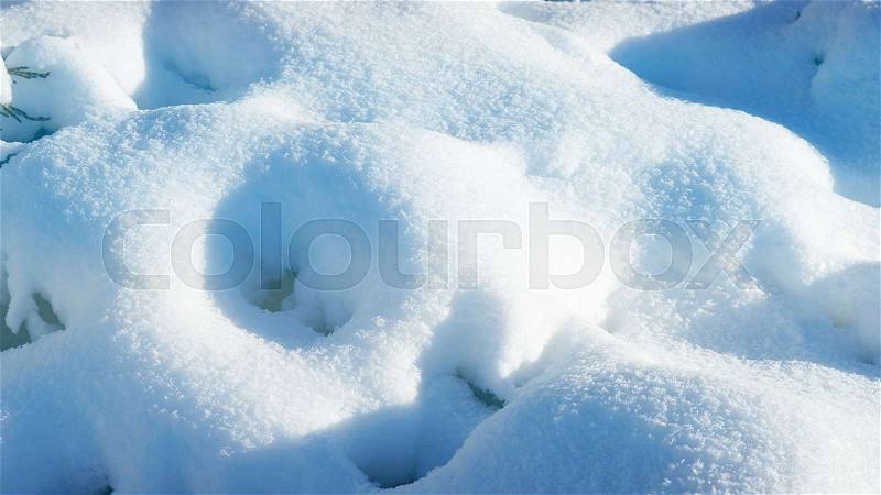 White blue overlay on fresh snow covered tree in a sunny day, stock photo