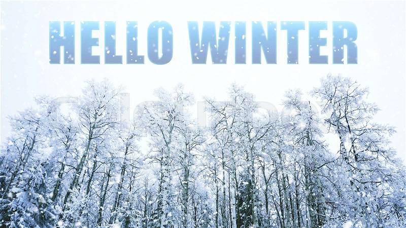 Hello WINTER words on winter background, stock photo