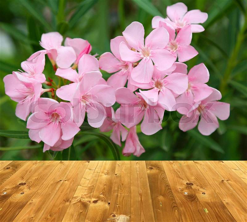 Wooden style floor and pink flower for display of product or background, stock photo