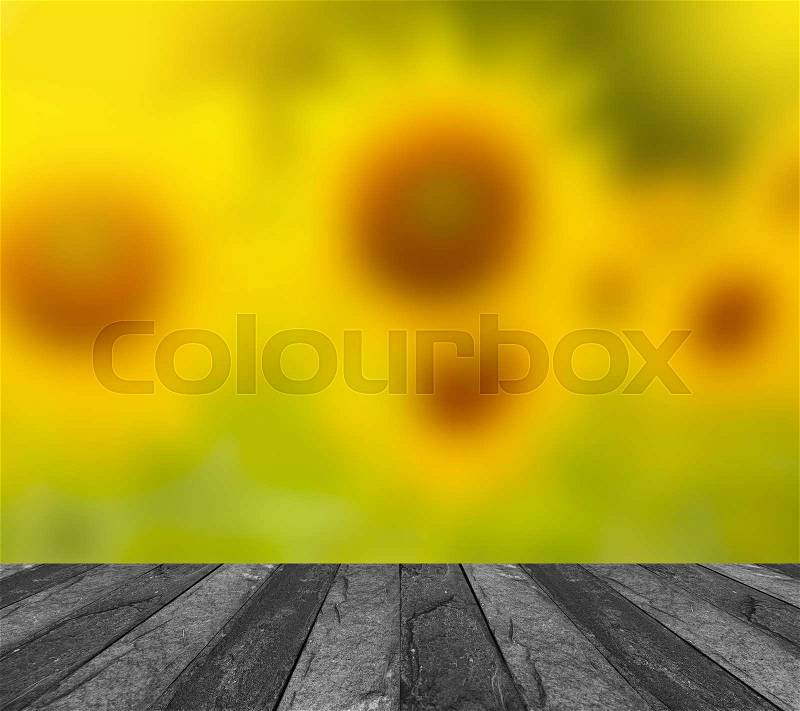 Blurred image of sunflower on concrete table , stock photo