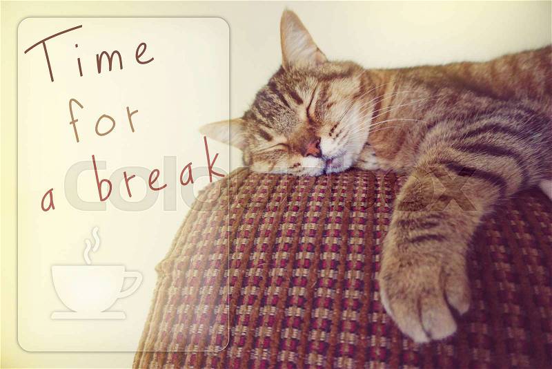 Lazy cat on the couch with word time for a break, stock photo