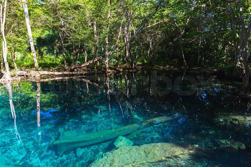 Blue lake in dark tropical forest, natural landscape of Dominican Republic, stock photo