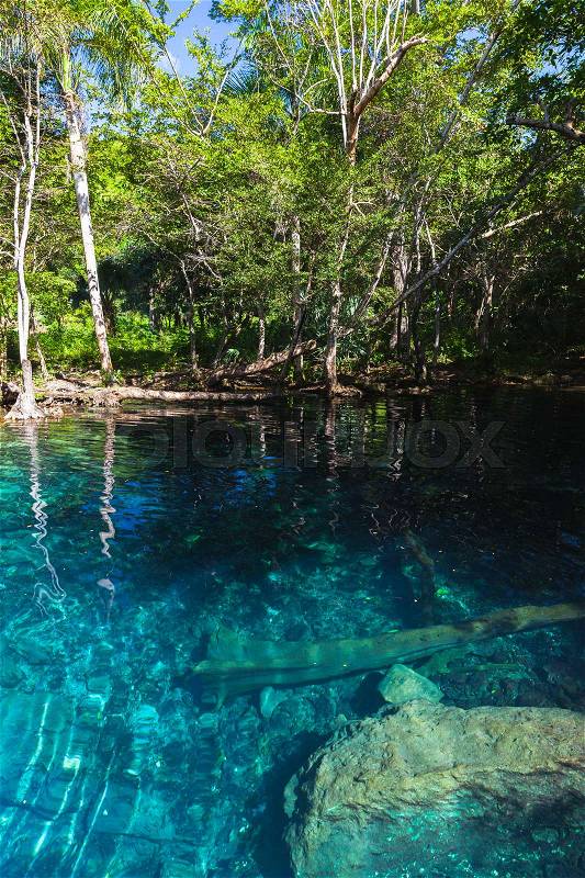 Still blue lake in dark tropical forest, natural vertical landscape of Dominican Republic, stock photo