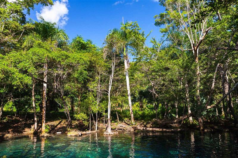 Still blue lake in tropical forest, natural landscape of Dominican Republic, stock photo