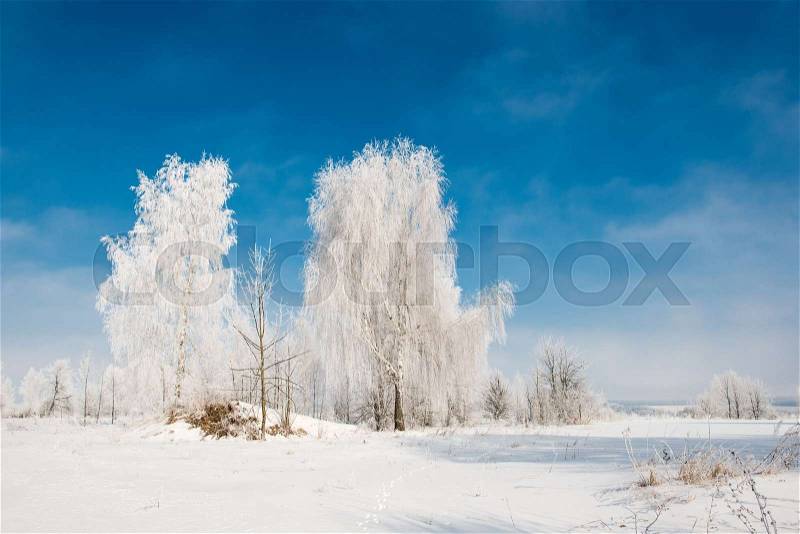 Beautiful winter landscape in cold day, stock photo