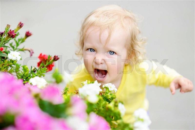 Funny curly hair toddler girl smelling red flowers at the spring or summer day. Little child tantrum, stock photo