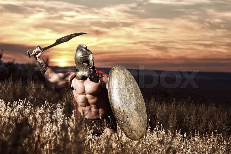 Confident soldier like spartan in red cloak holding iron weapon and rounded shield. Warrior in bronze helmet with bare torso going in attack of war in field. Dark sky at sunset, stock photo
