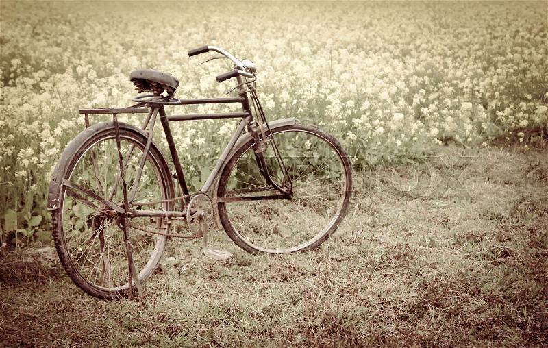 Vintage Bicycle beside a rural mustard field in Bangladesh, stock photo