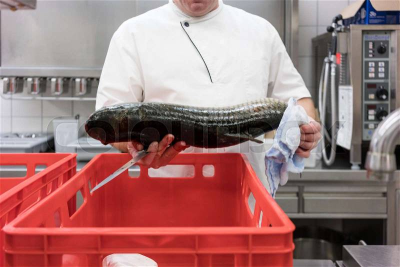 Chef in restaurant kitchen checking fresh fish delivery, stock photo