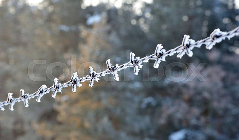 Closeup of frosted barbed wire with ice crystals, stock photo