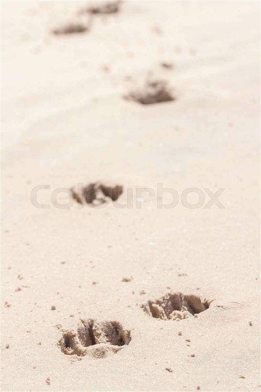 Dog footprints in the sand can be background, stock photo