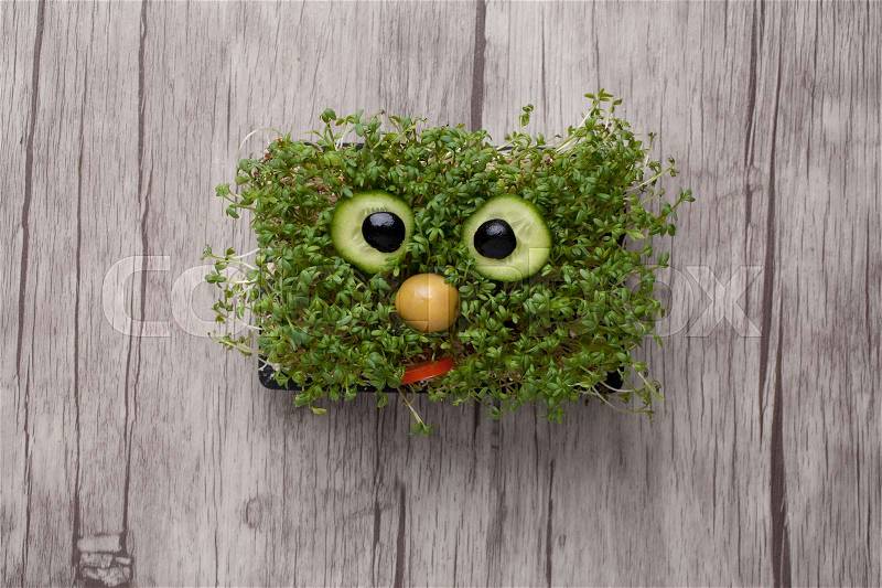 Funny face made of crest salad on wooden board, stock photo