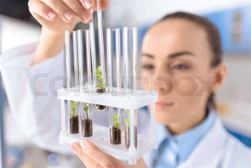 Scientist holding laboratory tubes, focus on foreground, stock photo