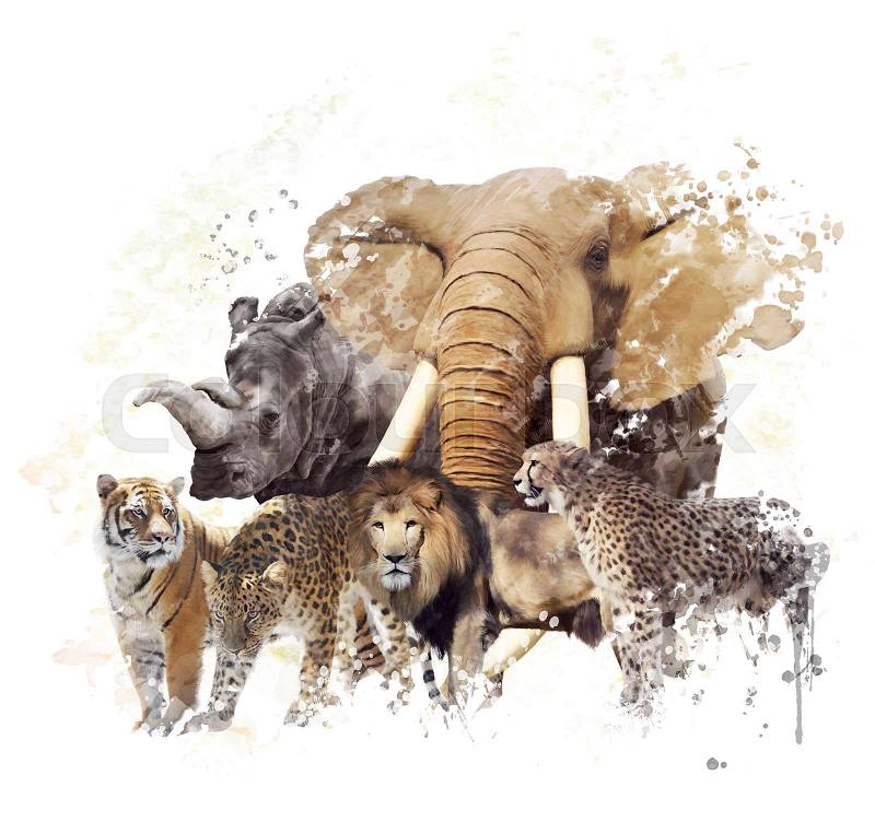 Digital Painting of Wild Animals , stock photo