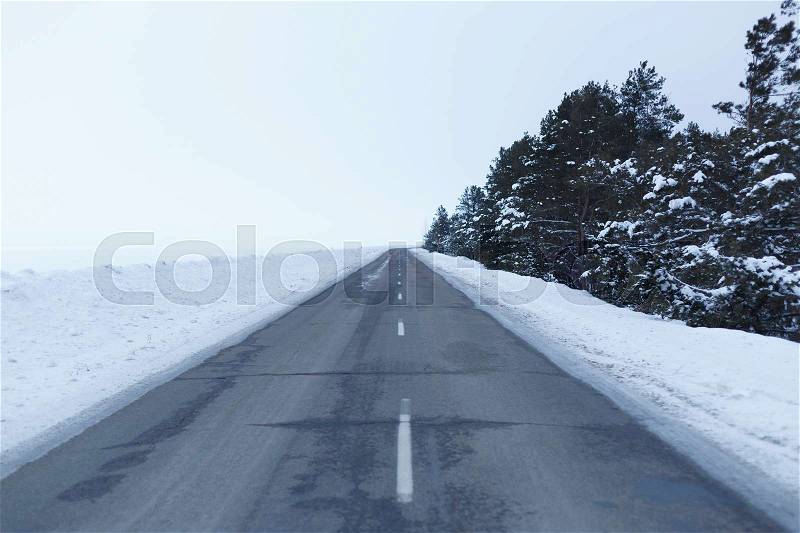 Snowy road through the forest, with trees on the roadside, stock photo