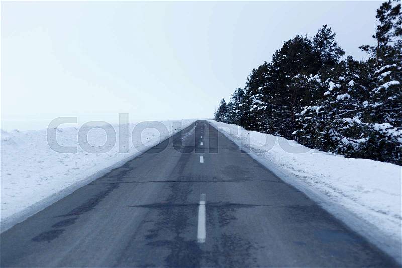 Snowy road through the forest, with trees on the roadside, stock photo