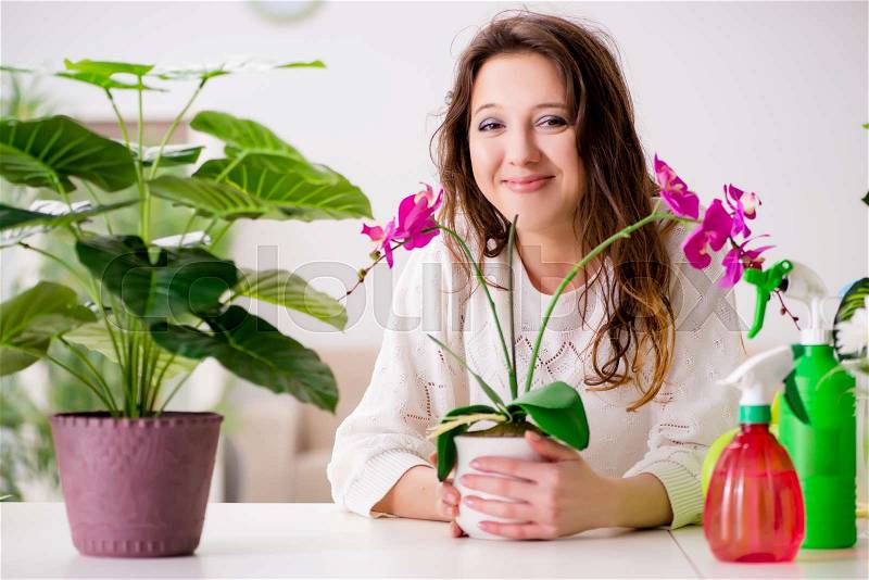 Young woman looking after plants at home, stock photo