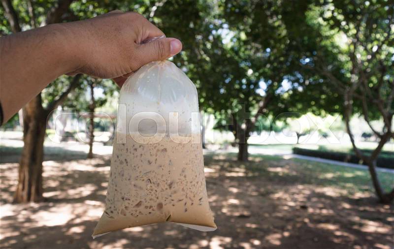 Bag of cool Thai coffee holding by hand in garden , Joyful with coffee time concept, stock photo