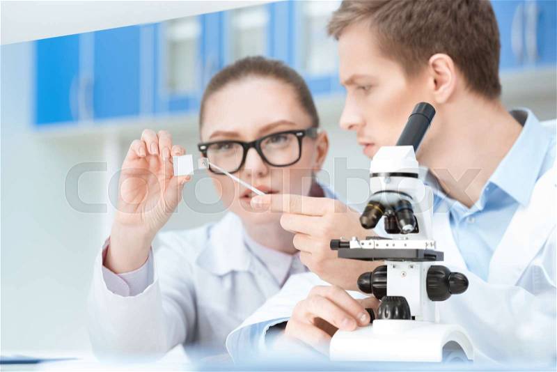 Concentrated young chemists working with glass microscope slide in lab, stock photo