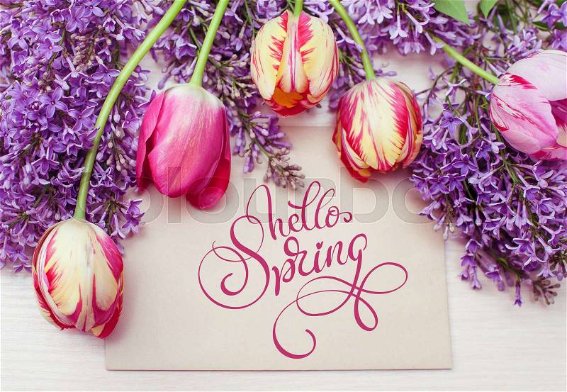 Frame from tulips and lilac and place for text greeting card and text Hello Spring. Calligraphy lettering, stock photo