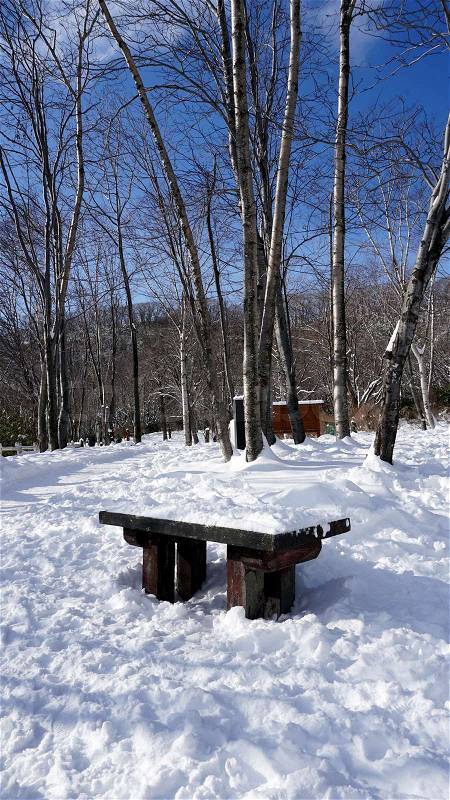 Snow and bench in the walkway forest Noboribetsu onsen snow winter national park in Jigokudani, Hokkaido, Japan, stock photo