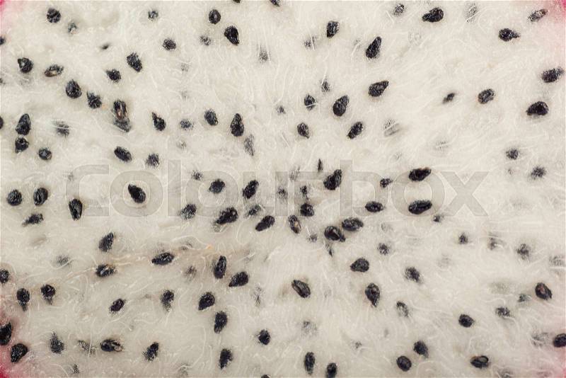 Close-up fragment of a dragon fruit meat texture as a backdrop composition, stock photo