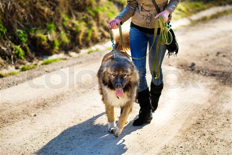 Young woman playing with Caucasian shepherd in a delightful spring day, stock photo