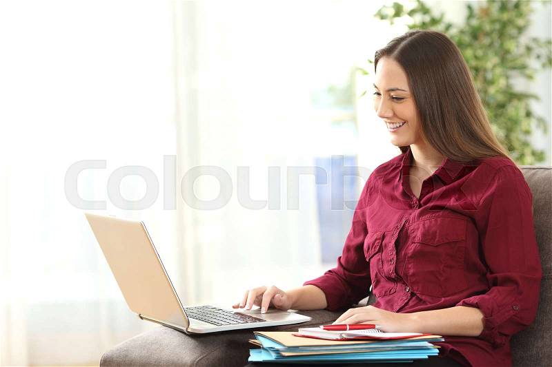 Portrait of an entrepreneur working on line with a laptop sitting on a sofa in the living room at home, stock photo
