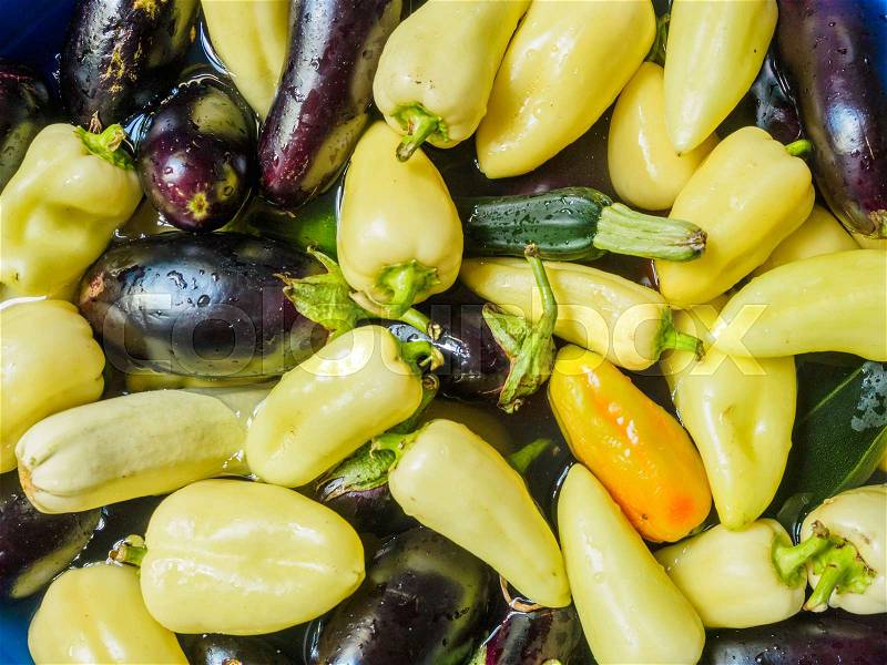 Light green pepper, green zucchini and eggplant, dark blue. Vegetables floating in the water, photographed from the top. Large group of fresh vegetables top view, stock photo