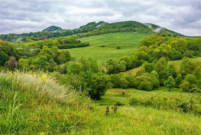 Rural area in the beautiful valley in vivid Carpathian mountain landscape, stock photo