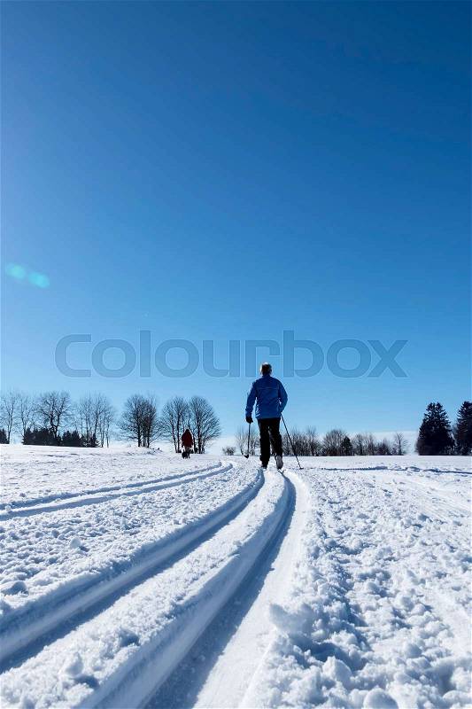 Winter sports cross-country skiing, icon sports, winter vacation, leisure, activity, stock photo