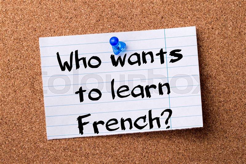 Who wants to learn French? - teared note paper pinned on bulletin board - horizontal image, stock photo
