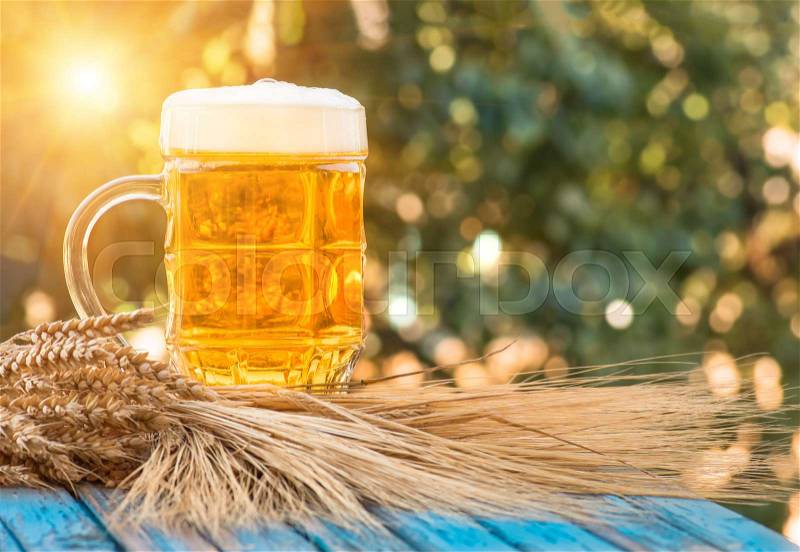 Light foamy beer in a glass and barley ears on natural background. Alcohol, stock photo