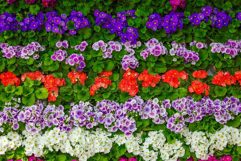 Bunch of flowers. beautiful flowers wall background, stock photo