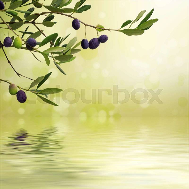 Floral natural sunny organic food background with olive tree branches, green leaves anf fruits, can be used for cards, posters and web, stock photo