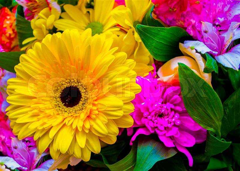 Gerbera. bouquet of flowers. bouquet of flowers roses gerbera flowers carnations, stock photo