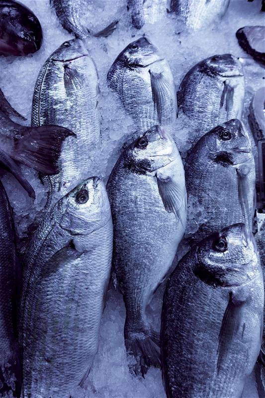 Fresh seafood. Fresh fish in the market. fresh dorada fish, stock photo