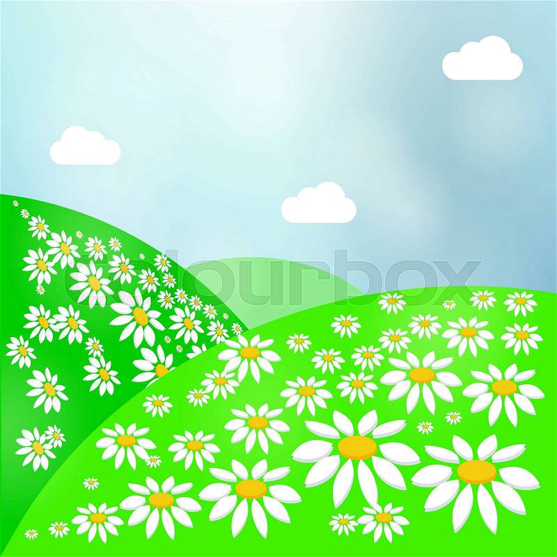 Summer Landscape with Green Grass, Sun and Clear Sky. Vector Meadow, vector