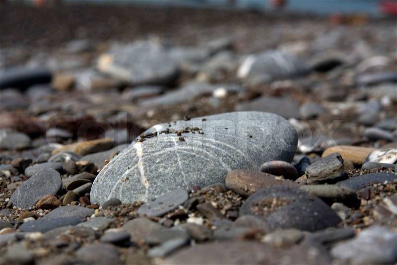 Grey round smooth cobblestone, close-up, stock photo