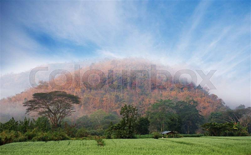 Mountains under mist in the morning, nature background, stock photo