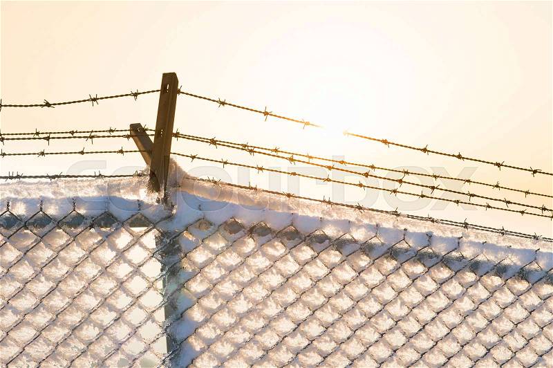 Barbed wire fence with snow at sunset, stock photo