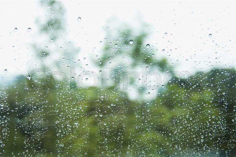 Rain drop on window glass with forest blur tree background, stock photo