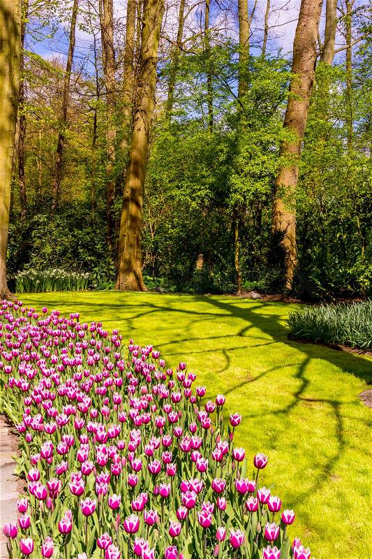 Flower garden. Beautiful park garden in spring. beautiful garden flowers, stock photo