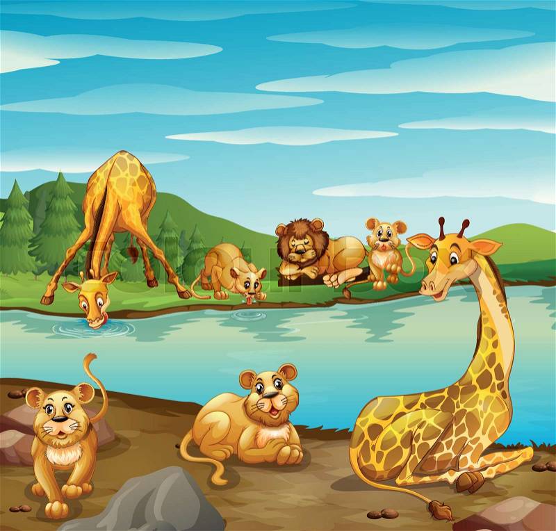 Scene with giraffes and lions by the river illustration, vector