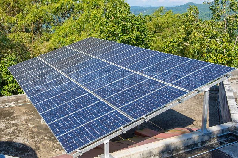 Photovoltaic using renewable solar energy in forest, stock photo