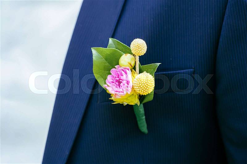 Pink peon boutonniere pinned to a grooms blue jacket, stock photo