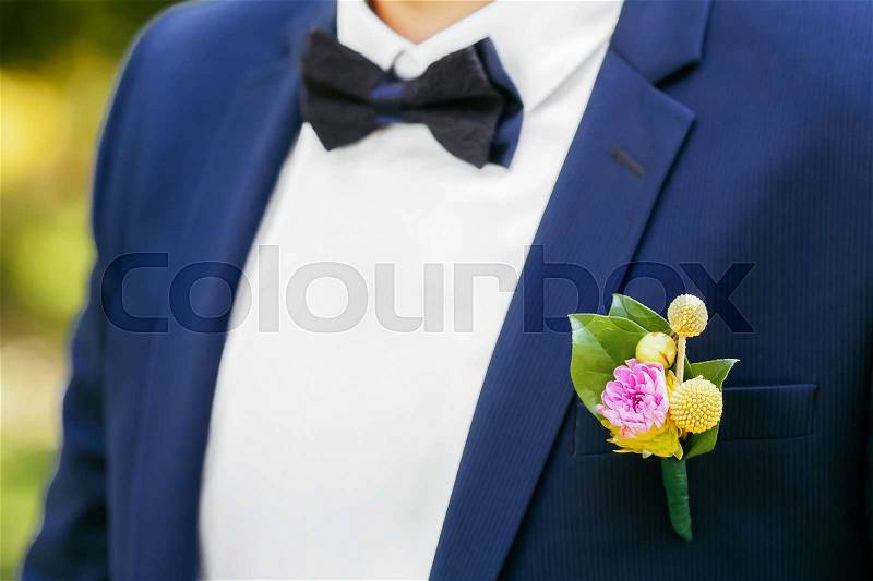 Pink peon boutonniere pinned to a grooms blue jacket, stock photo