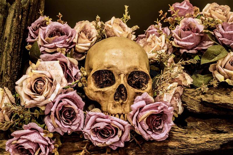 Still life painting photography with human skull and roses background, love concept, grunge, vintage and dark tone for halloween, stock photo