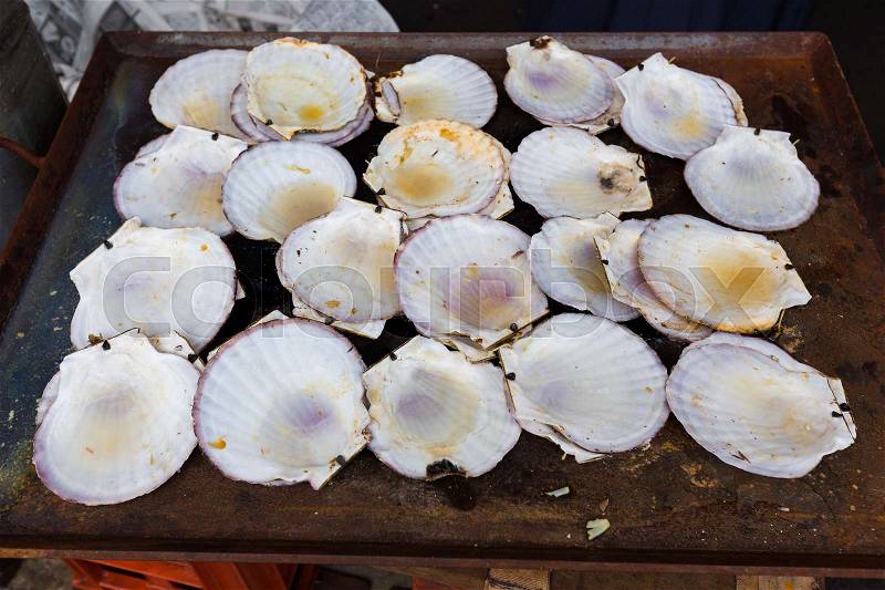 Empty scallop shells on a tray at Japanese fish market, Tsukiji, stock photo